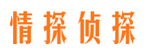 临安商务调查